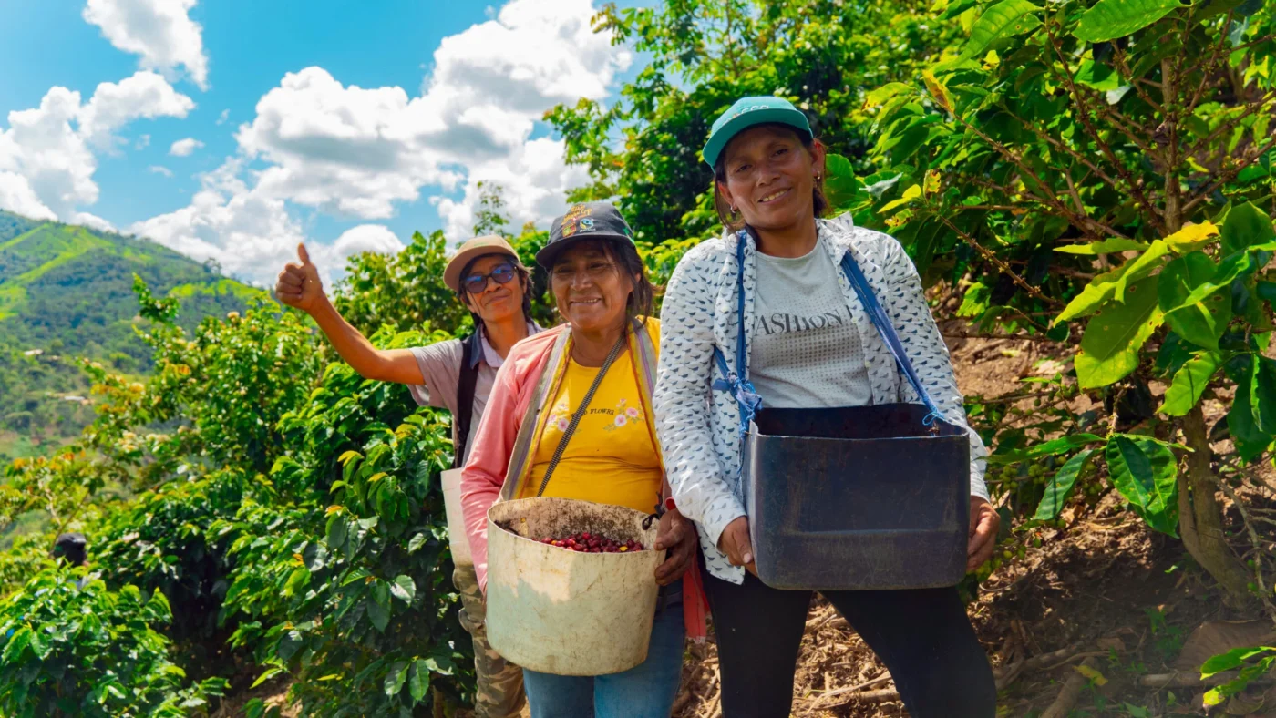 Kvinnorna som odlar kaffe i Peru